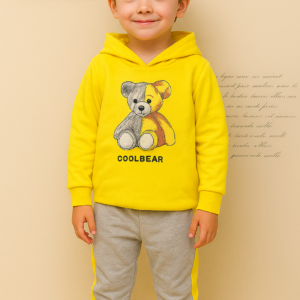 cap fl yl gy cool bear